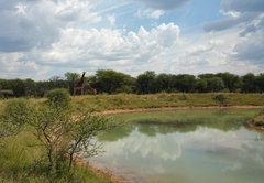 Grootgeluk Bush Camp