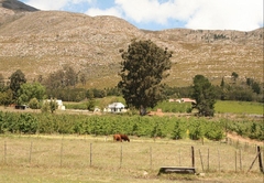 Grootnek Guest Farm