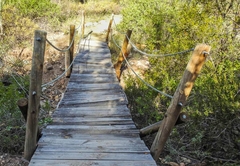 Rietfontein Guest Farm