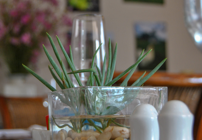 Guest dining area