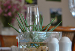 Guest dining area