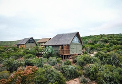 Harmony Game Lodge