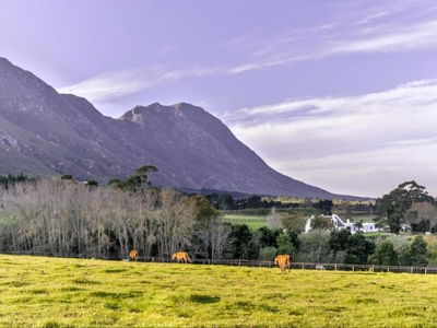 Hemel N Aarde Stud Farm