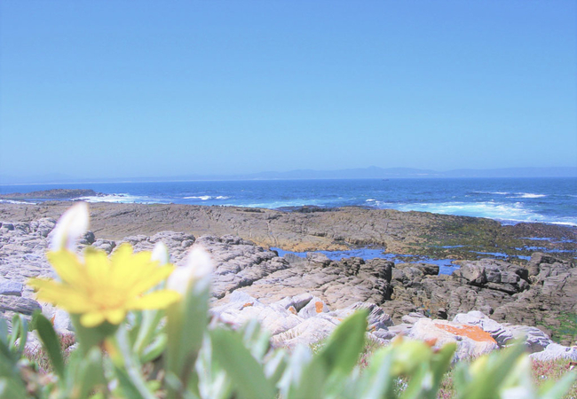 Estate private rock beach