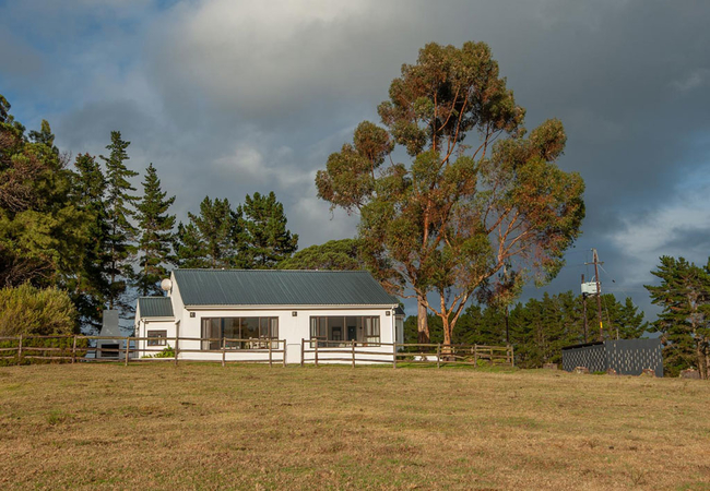 Protea Cottage