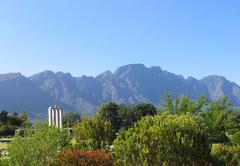 Holly Tree Franschhoek