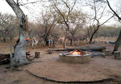 HomeBase Kruger