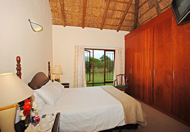 Martial Eagle Room