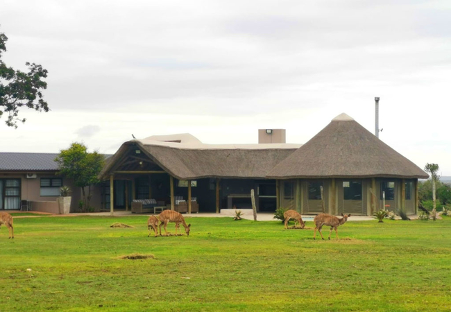 Main Lodge