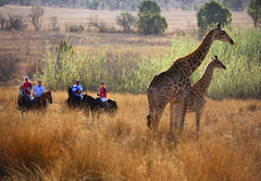 Colin's Horseback Africa