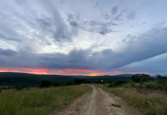 Horseshoe Game Reserve