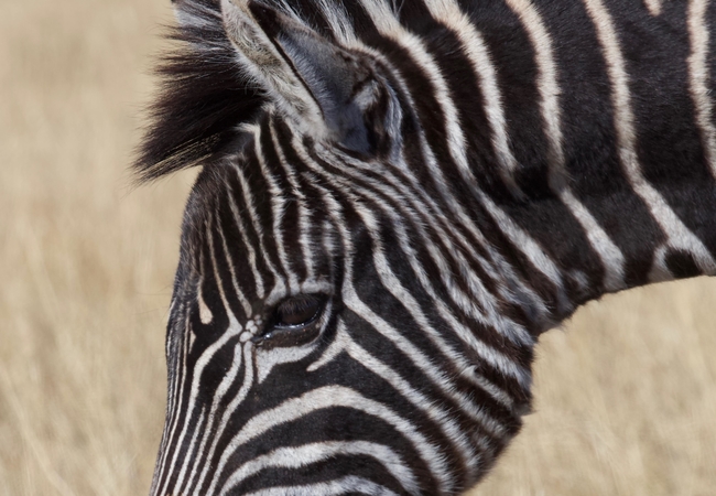 Horseshoe Game Reserve in East London, Eastern Cape