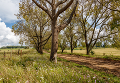 HoyoHoyo Machado Stud Lodge