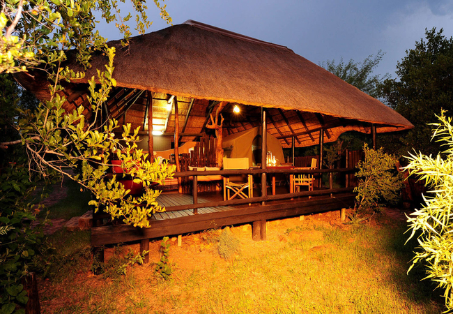 Safari Tent