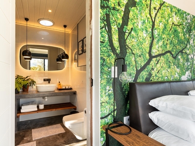 In-A-Tree Studio Apartment