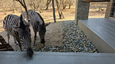 Inkolongwane Bush Lodge