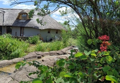 Inkungu Homestead