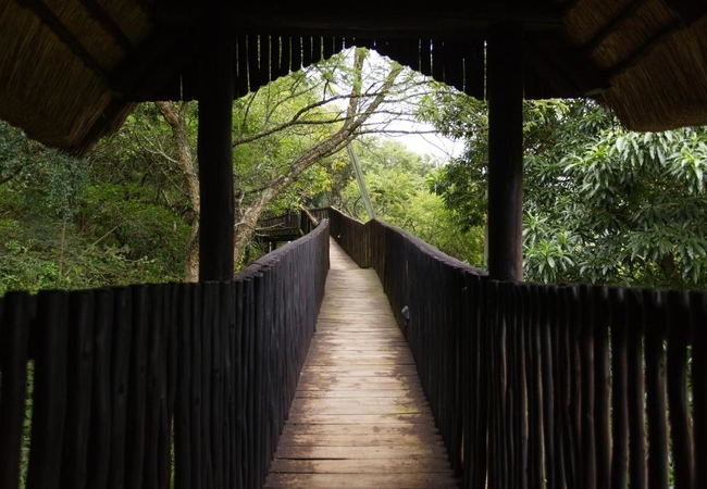 Walkway to Chalet 6