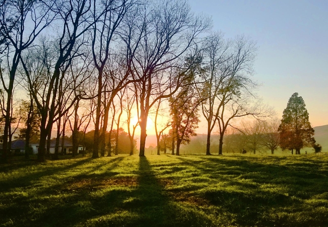 On the farm