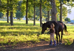 On the farm