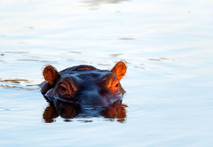 Inyati Private Game Reserve