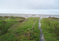 Path to Beach