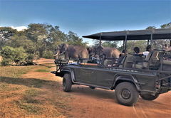 Kaingo Game Reserve