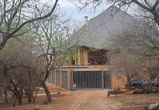 KaiZen Honeybadger Lodge