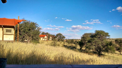 Glamping Kalahari Tented Camp - Kgalagadi Unterkunft, Nördliches Kap ...