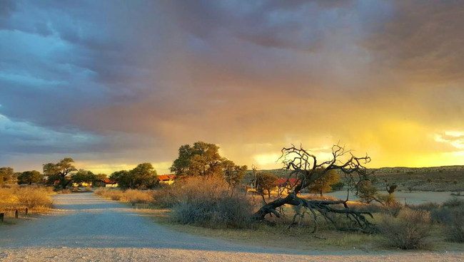 Kalahari Tented Camp in Kgalagadi, Northern Cape