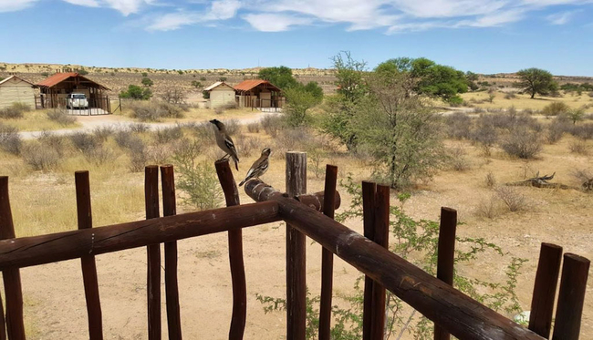 Kalahari Tented Camp