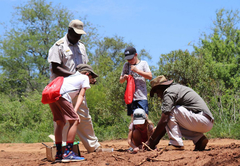 Karongwe River Lodge