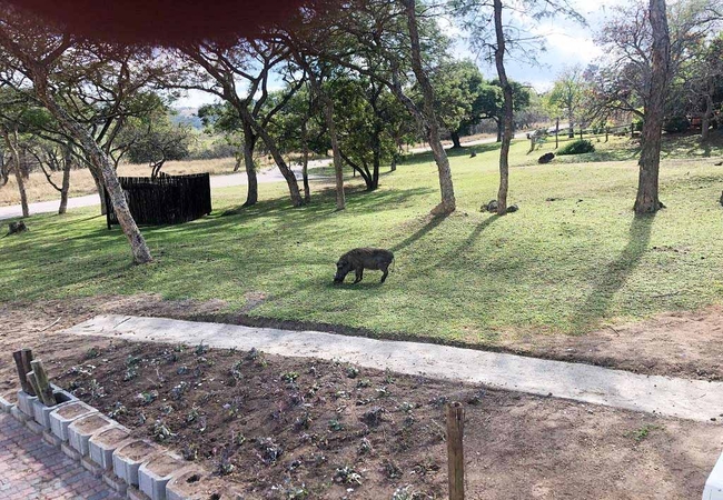 Khululeka Safari Lodge