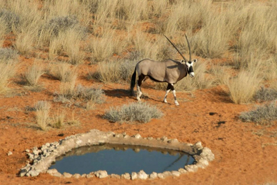 Mier Accommodation, Northern Cape