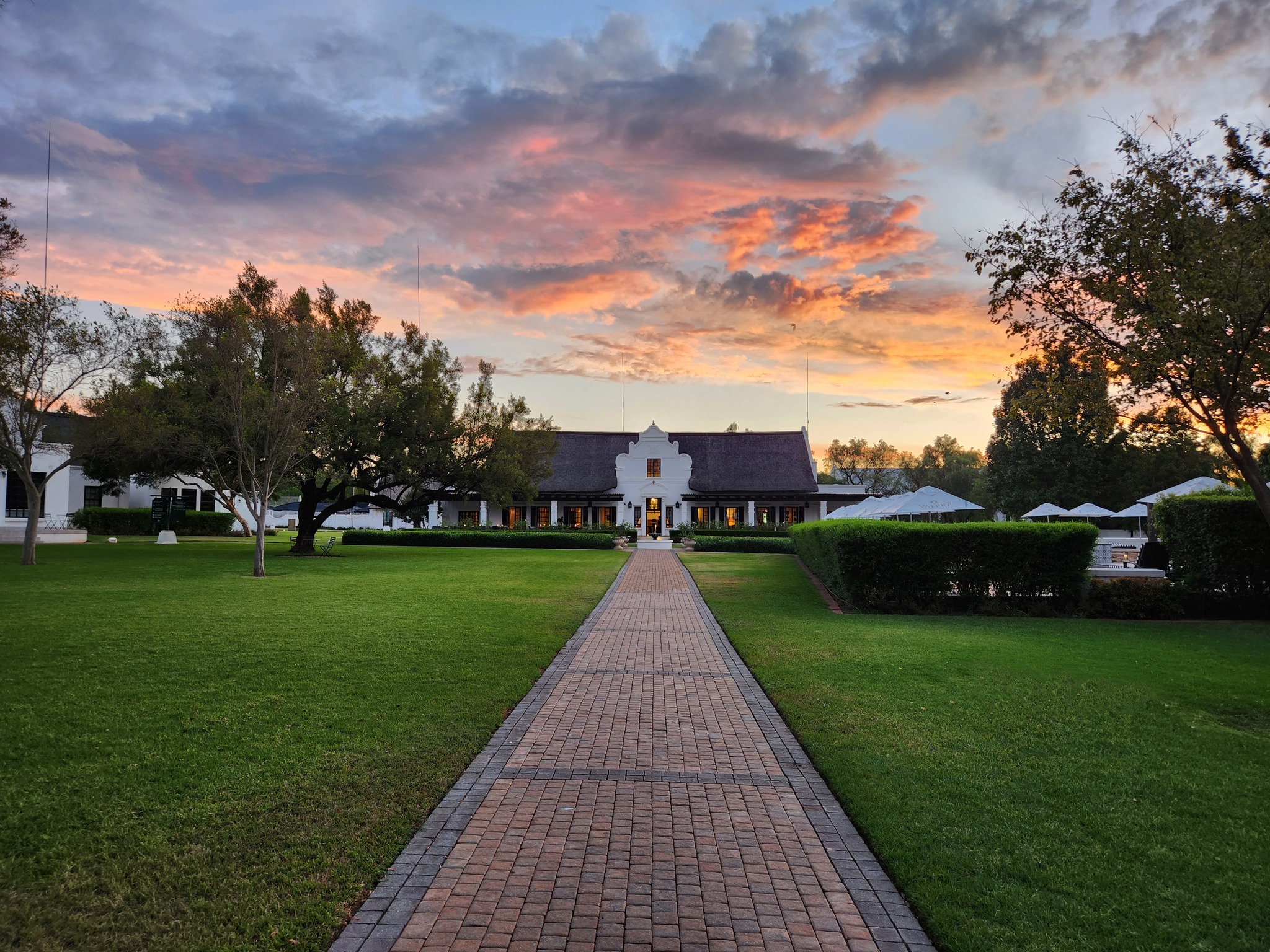 Kievits Kroon Gauteng Wine Estate