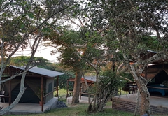 Safari Tents