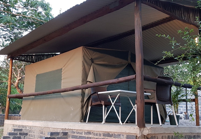 Safari Tents