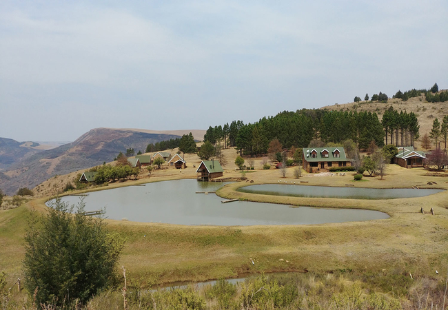 Kingfisher Trout Lodge