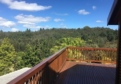 Knysna Forest View