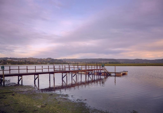 Knysna River Club