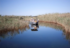 Boat trip on the lakes