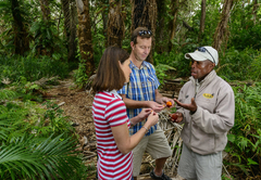 guided walks