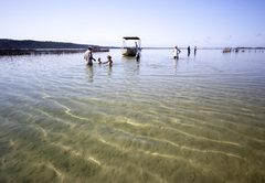 Swimming in the lake