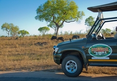 Kruger Adventure Lodge