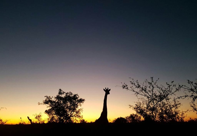 Kruger Elephant Point Lodge in Hazyview, Mpumalanga