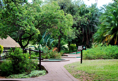 Kruger Park Lodge 252