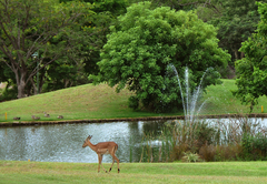 Kruger Park Lodge 610A