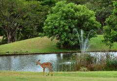 Kruger Park Lodge 611