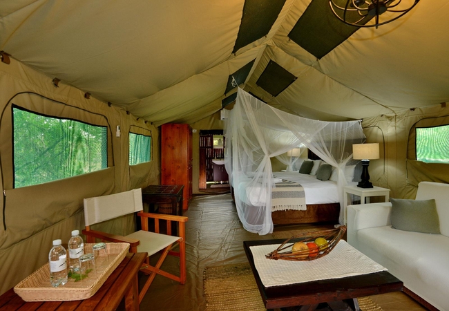 Luxury Tent