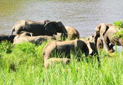 Kruger View Chalets